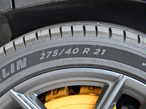 2025�� ������������������Max��