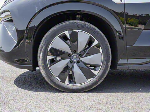 2025�� EV 600KM���������״��콢��