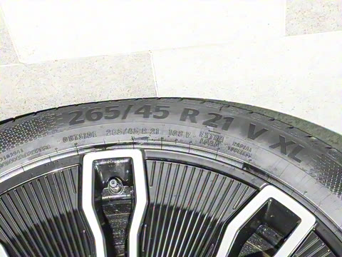 2024�� Max�����