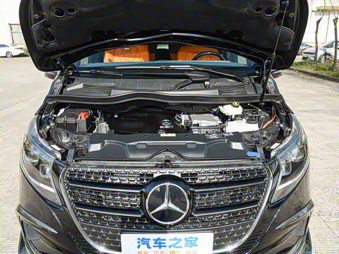 2025�� V 300 L ������˹ �˶���