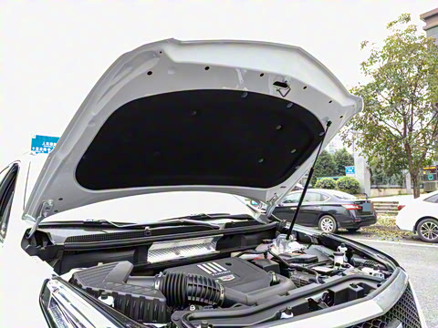 2021�� 28T ���������˶���