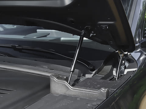 2025�� FREE+ ����Ǭ����