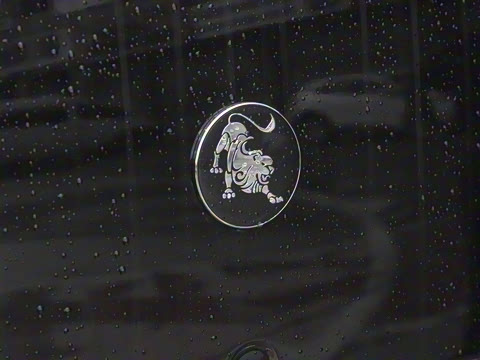 2025�� 110km���� ������5��