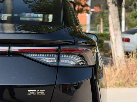 2020�� 230T �Զ���Ŀ������ʿ��