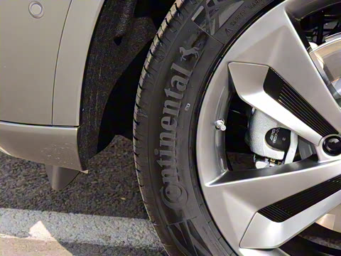 2023�� ������������