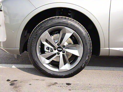 2023�� ������������