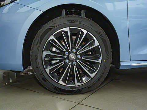 2024�� 127 Զ���� ������