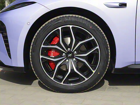 2025�� ���� 230Pro�캽��