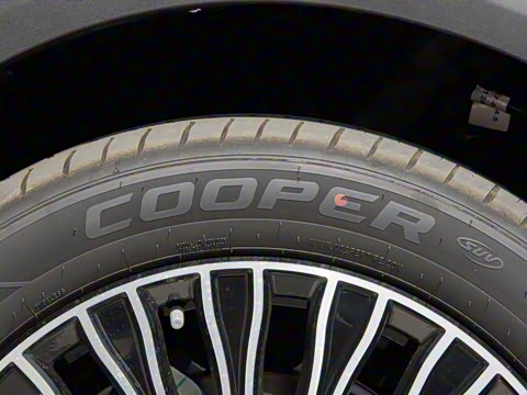 2025�� 210 �����������콢�� 7�� ��Ԫ�+M3P