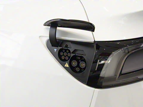 2025�� ����������