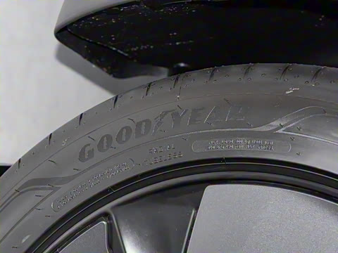 2025�� ����������