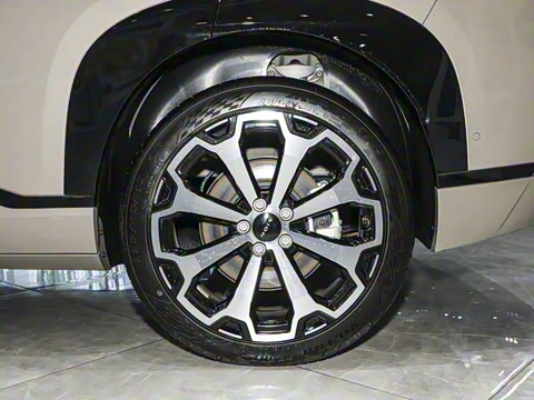 2024�� ���������� 520 �����״��