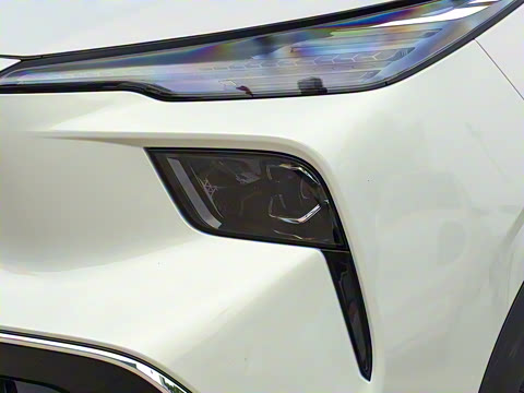 2025�� 565km ������