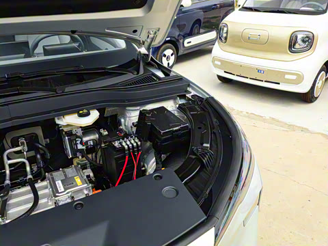 2025�� 565km ������