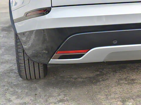 2024�� Dynamic SE