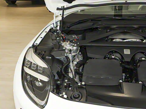 2025�� 4.0T V8 Coupe