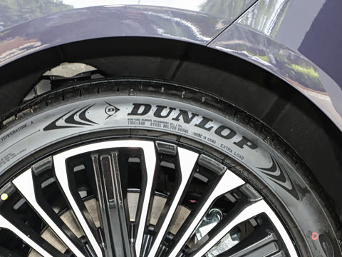 2025�� �Ŀ� Max�����