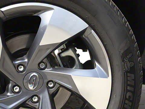 2020�� GS8S 390T ��������������