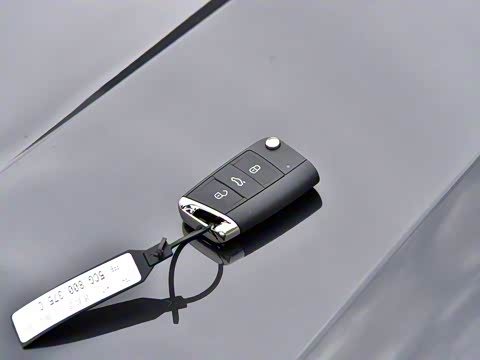 2025�� 280TSI �ֶ�����Plus��