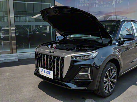 2025�� 2.0T ��������Pro��