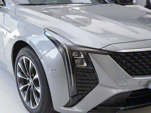 2025�� 28T �����˶���