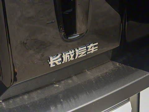 2025�� 2.0T 4WD Pro