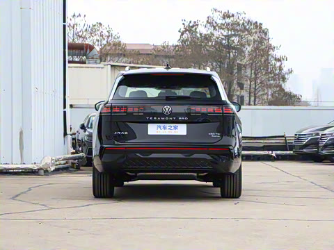 2025�� ;�� Pro 450TSI �����ݺ��