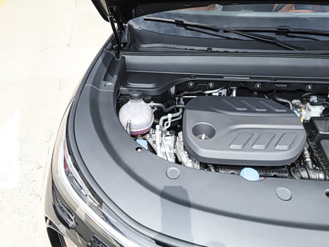 2025�� 145������