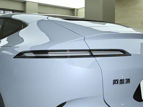 2025�� Max�����