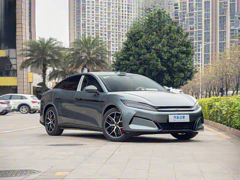 2025�� DM-p ���������״��콢��