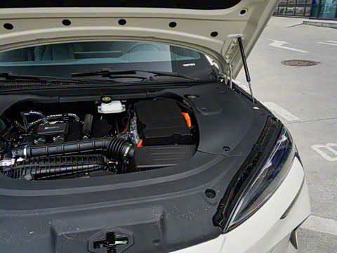 2025�� �Ǽݰ� DM-i 1.5L 125km ��Ӣ��