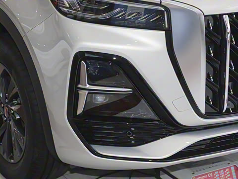 2025�� 2.0T ��������Pro��