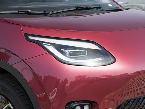 2025�� 330��ҫ��