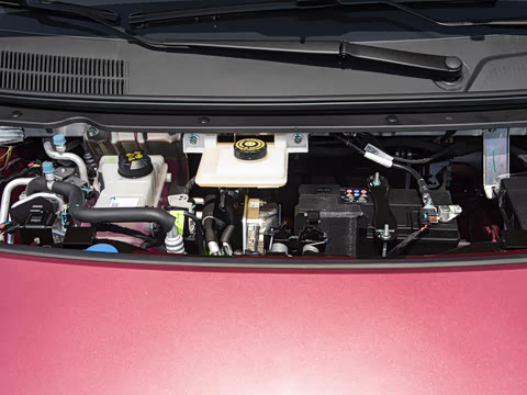 2025�� 330��ҫ��