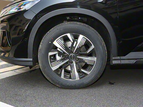 2025�� DM-i �Ǽݰ� 75KM������