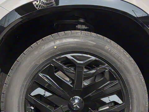 2025�� 730 Max������