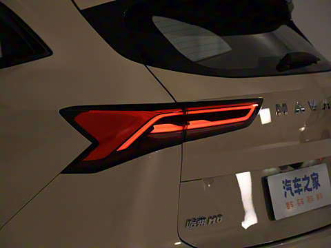 2024�� 2.0T ����Max