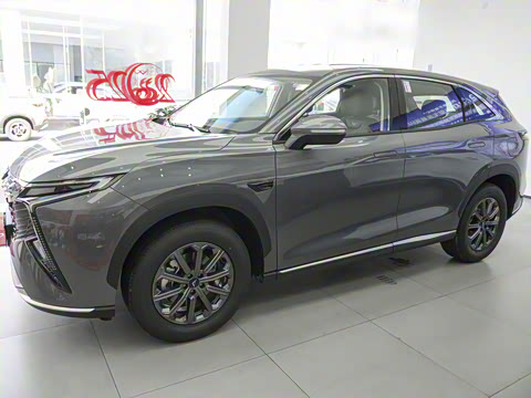 2025�� 1.5T ��ԭ�� 5��