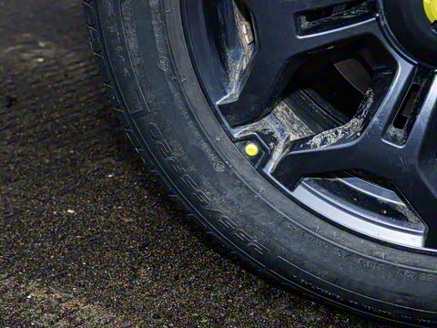 2024�� C-DM 208KM ɽҰ��