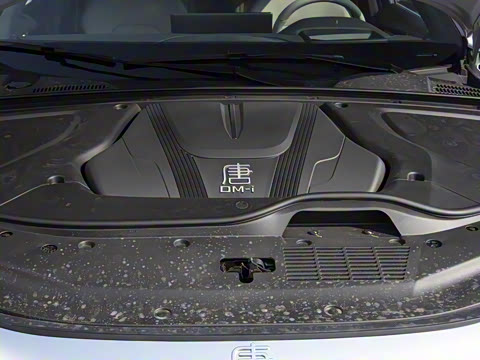 2025�� �Ǽݰ� DM-i 115KM �콢��