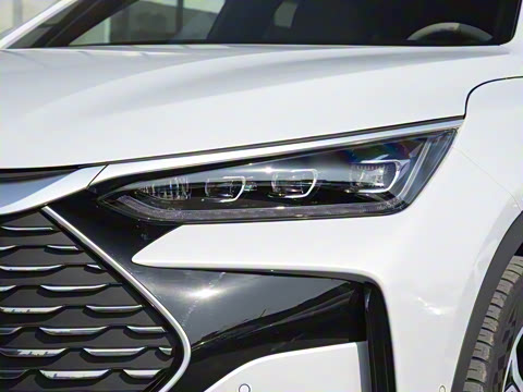 2025�� �Ǽݰ� DM-i 115KM �콢��