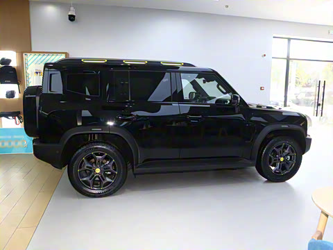 2025�� 2.0TD DCT XWD��Խ+