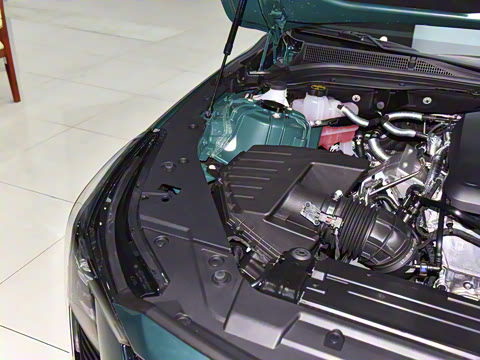 2025�� 28T �������ܰ�