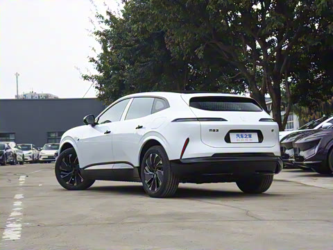 2024�� Max���������