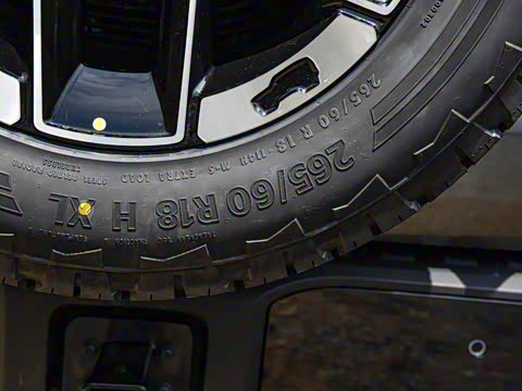 2024�� ����������