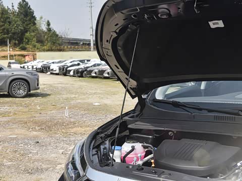 2025�� 1.6TD �ֶ����ʰ� 7��