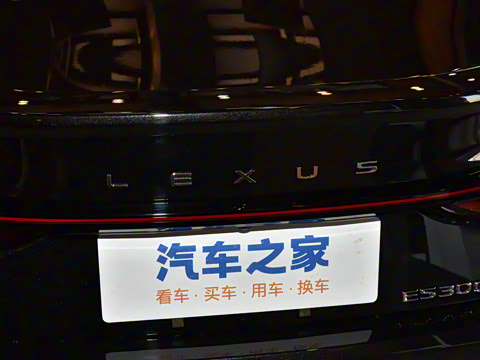 2025�� 300h ������