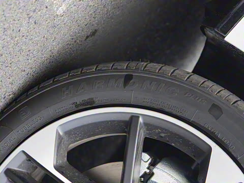 2025�� 520�����״��