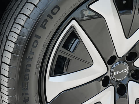 2025�� 150 �캽��