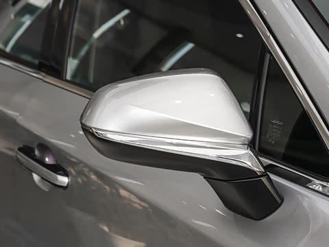 2025�� 300 ����������